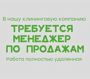 ищу работу реализатор: Вакансия: менеджер по продажам в клининговую компанию Что