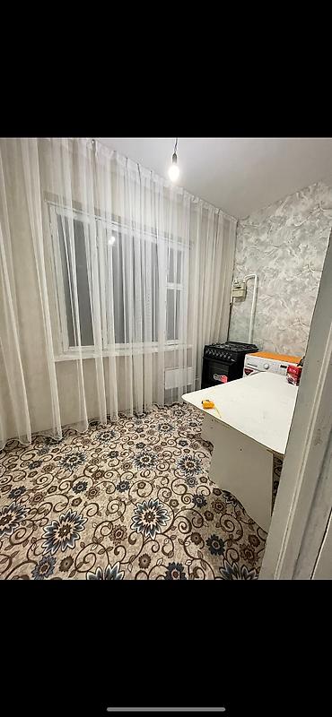 elite hause: 1 комната, 38 м², Толойкон мкр., 105 серия, 5 этаж — 1