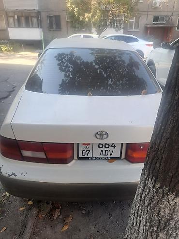 camri 75: Toyota Windom: 1998 г., 2.5 л, Автомат, Бензин, Седан — 2