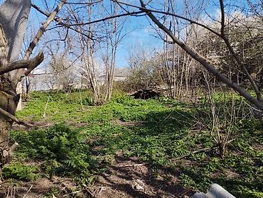 Torpaq sahələrinin satışı: 10 sot, Tikinti, Mülkiyyətçi, Müqavilə — 4