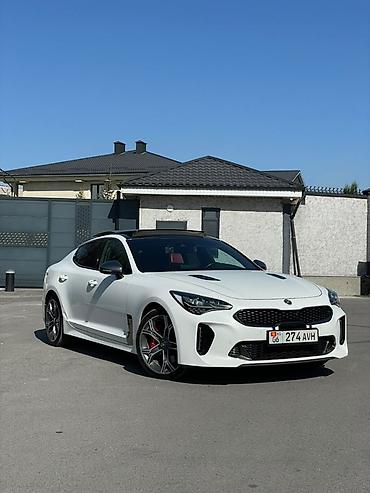 work kiwami: Kia Stinger: 2019 г., 2 л, Автомат, Бензин, Фастбек — 1