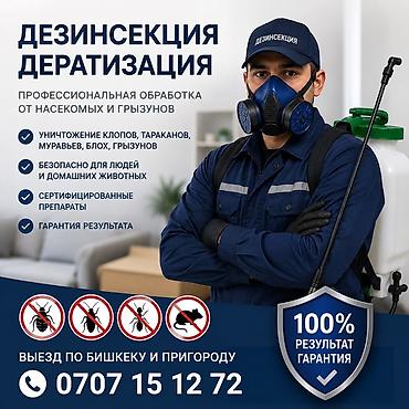 Дезинфекция, дезинсекция: Дезинфекция, дезинсекция, | Клопы, Блохи, Тараканы, | Транспорт, Офисы, Квартиры — 1