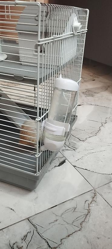 kompresor akvarium: Hamster üçün tam dəst qəfəs - Uç mərtəbəli metal barmaqlıqlı qəfəs — 2