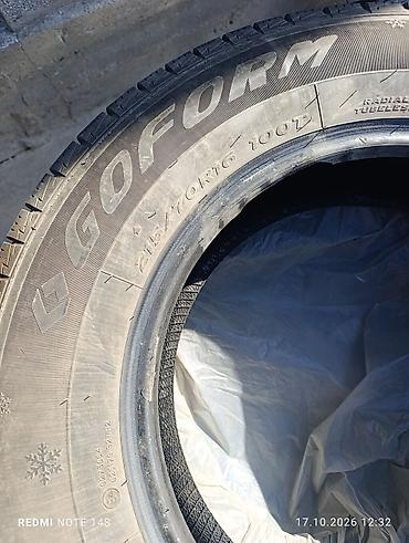 saka diska: Зимние шины GOFORM 215/70 R16 100T — комплект из 4 шт. - Тип: зимние — 3
