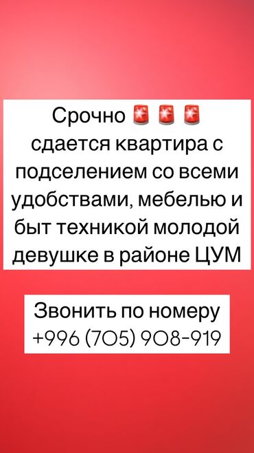 дом квартиру: 3 комнаты, Собственник, С подселением, С мебелью полностью