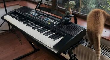 yamaha sintezator: Sintezator, Yeni, Pulsuz çatdırılma, Ödənişli çatdırılma, Rayonlara çatdırılma