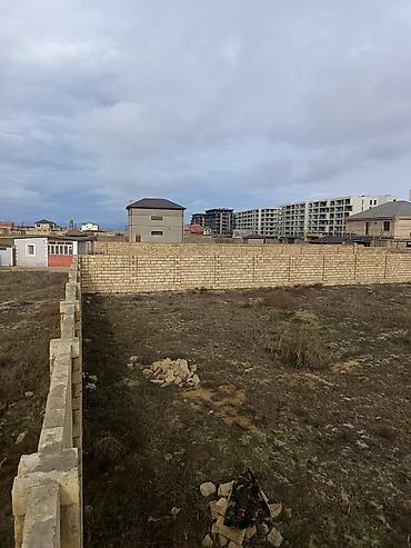 sabuncuda: 12 sot, Tikinti, Kupça (Çıxarış) — 1