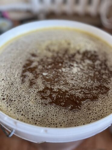 новый спортивный костюм: 🍯 Натуральный майский мед Предлагаем вам 100% натуральный майский