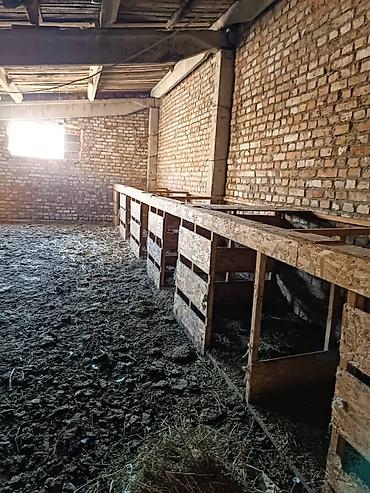 Продажа участков: 120 соток, Для строительства, Красная книга — 1