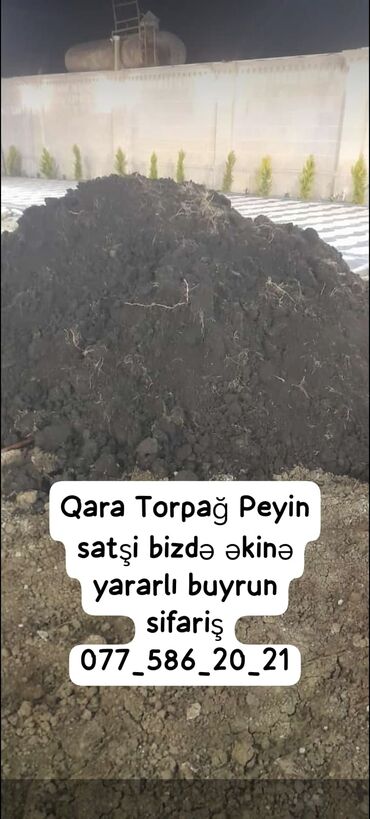 Bitki torpaqları: Qara torpaq peyin istənilən yerə sifariş verə bilərsiniz əkinə yararlı