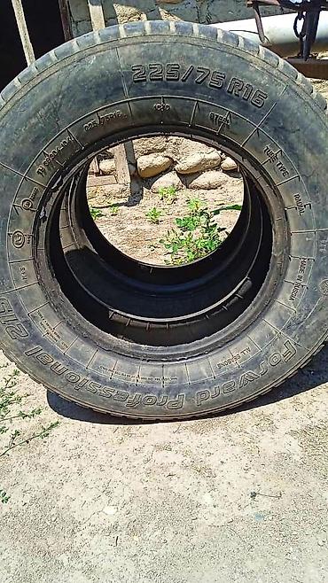 forward: Шины 5штук Размер: 225/75 R16 - Тип: радиальные, всесезонные - — 1