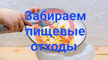 Другие услуги: Вывозим пищевые отходы по городу Бишкек Оставляем тару #просрочка