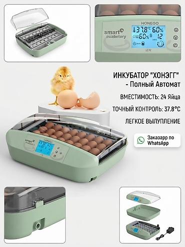 24: Инкубатор HONEGG – полный автомат для домашнего вывода птицы — 1