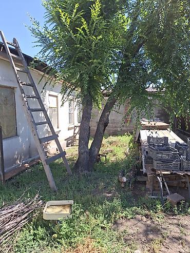 иссык куль участок: Продается частный полдома с участком 2.5 соток, по Госакту 1.5 соток — 3