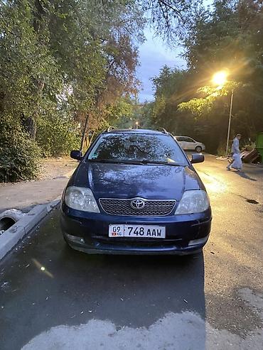 Toyota Corolla: 2003 г., 1.6 л, Механика, Бензин, Универсал