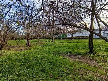 Torpaq sahələrinin satışı: 16 sot, Tikinti, Mülkiyyətçi, Kupça (Çıxarış) — 6
