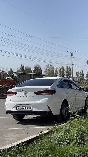 ms 16rs: Hyundai Sonata: 2019 г., 2 л, Автомат, Газ, Седан — 6