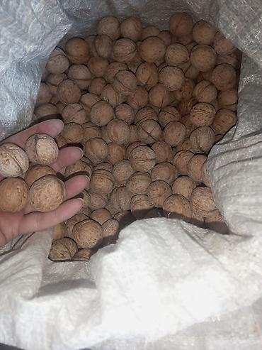 орех китайский: Продам Грецкий орех в скорлупе 4 мешка, 70с/кг Бишкек, район Старого — 2