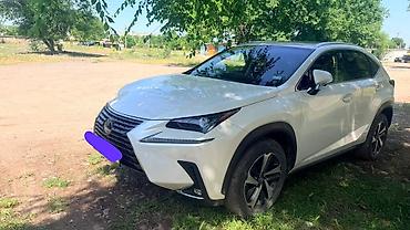 range over: Lexus NX: 2020 г., 2.5 л, Автомат, Гибрид, Кроссовер — 1