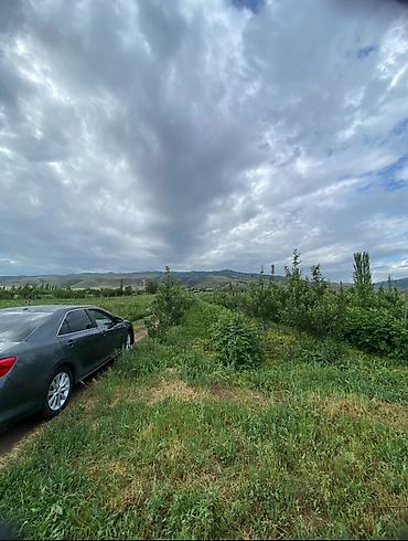 Продажа сельхоз предприятий: Питомник растений, 220 соток, Действующий, Частично с оборудованием, Электричество, Холодная вода — 9