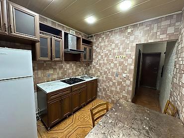 kiraye evl: Bakıxanov qəsəbəsində ( Razində ) Çempion çay evinin arxası, Qloroiya — 1