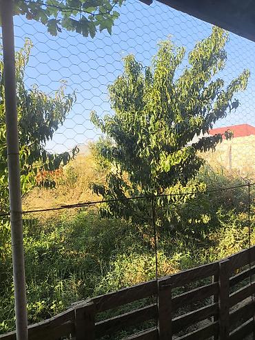 Torpaq sahələrinin satışı: 8 sot, Tikinti, Kupça (Çıxarış) — 14