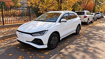 motor 2.0 alt: BYD E2: 2023 г., Электромобиль, Хэтчбэк — 2