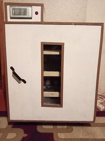 mini generator satışı: Tam avtomat, Bütün növ quşlar üçün — 1