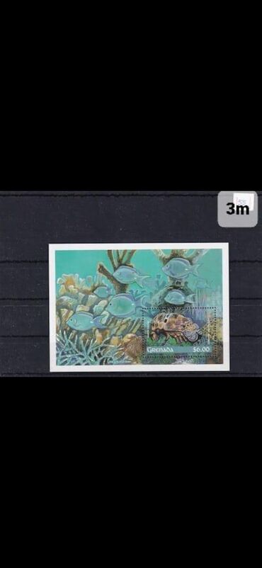 Markalar: Müxtəlif markalar var bunlardan əlavə olanlarda var. Digər marka və — 6