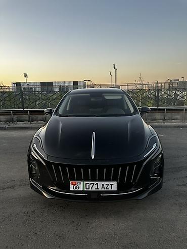тряпка для авто: Hozon : 2021 г., 0.1 л, Автомат, Электромобиль, Седан — 1