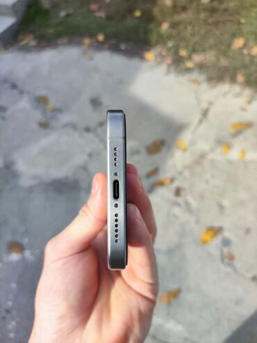 Apple iPhone: IPhone 15 Pro Max, Б/у, 256 ГБ, Natural Titanium, Чехол, 89 % — 6