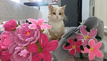 кунажын бишкек: Ручные цветы, игрушки и декор Что делаю: - Букеты и композиции из — 2