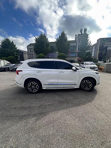 купить дверные ручки: Hyundai Santa Fe: 2021 г., 1.6 л, Гибрид, Кроссовер — 3