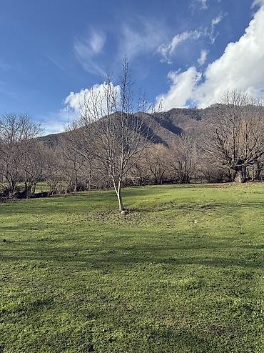 Torpaq sahələrinin satışı: 35 sot, Mülkiyyətçi — 1