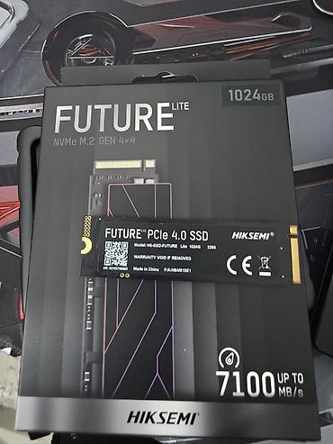 58: NVMe SSD HIKSEMI FUTURE Lite 1024 GB (PCIe 4.0 x4, M.2 2280) - Серия — 1