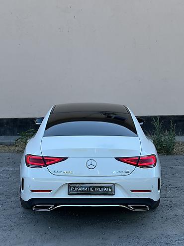 Mercedes-Benz: Mercedes-Benz CLS-Class: 2019 г., 2 л, Автомат, Дизель, Седан — 8