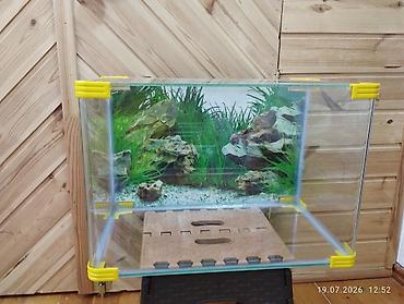 akvaryum altlığı: Dördbucaq akvarium, Boş, 35 l — 3