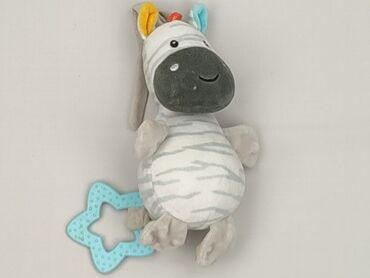 Mascot condition - Very good