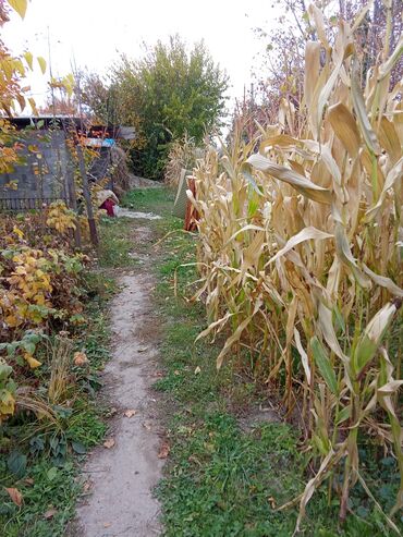 Продажа участков: 8 соток, Для сельского хозяйства, Тех паспорт — 3