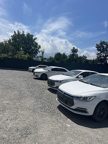byd qin pro: BYD : 2023 г., Электромобиль, Седан — 6