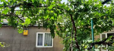 купить дом в рассрочку от хозяина: Үй, 105 кв. м, 4 бөлмө, Менчик ээси, Косметикалык оңдоо