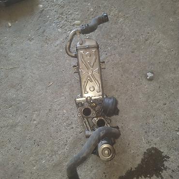 delphi ds150e original: Hladnjak EGR ventila Passat b6 — 1