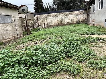 alatava ev: 10 sot, Tikinti, Mülkiyyətçi, Kupça (Çıxarış) — 2