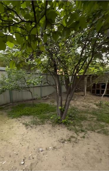 квартира 2 к: 3 комнаты, 58 м², 1 этаж, Косметический ремонт — 8
