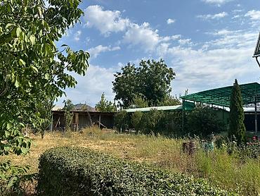 60: 465 соток, Красная книга — 3