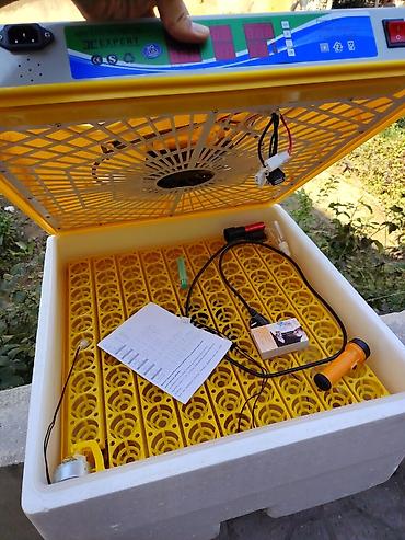 Сельскохозяйственное оборудование: JC Expert Mini Egg Incubator. 3 dəfə istifadə edilib tam işlədir — 5