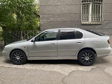 на ниссан: Nissan Primera: 2000 г., 2 л, Механика, Бензин, Седан — 2