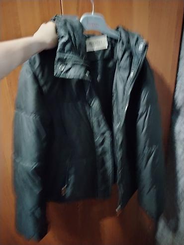 Kurtkalar: Kurtka, Bolonka, Qış, L — 1