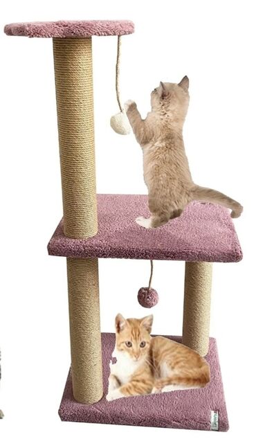 Pişiklər: Erkək, Dişi -da lalafo.az — 23 Pişiklər: Erkək, Dişi — 23