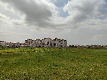 binədə: Kənd təsərrüfatı, Kupça (Çıxarış) — 2